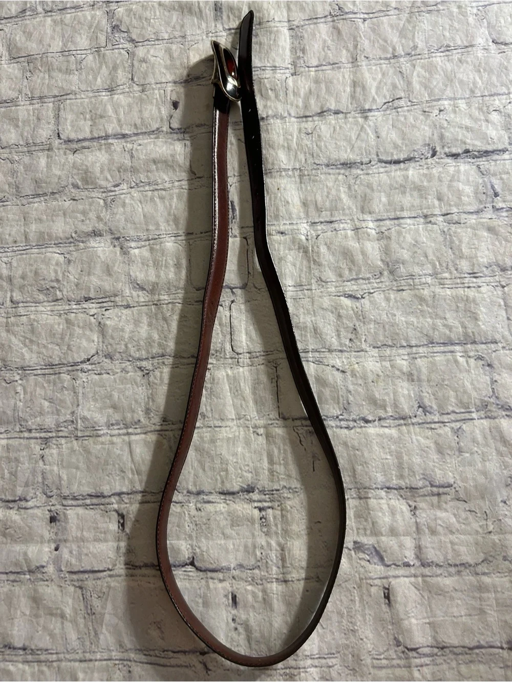 N/A fossil thin
